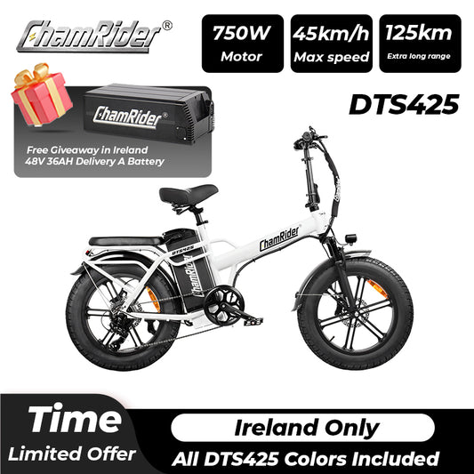ChamRider DTS425 Ebike - 48V25AH/32AH Battery, 125KM Range & 750W Power - Best - Value Choice for European Food Delivery Riders!