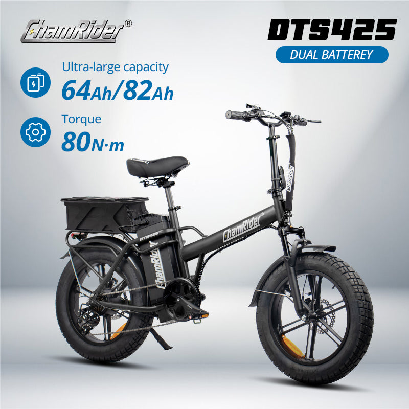 ChamRider E-bike - larger capacity ebikes for global delivery