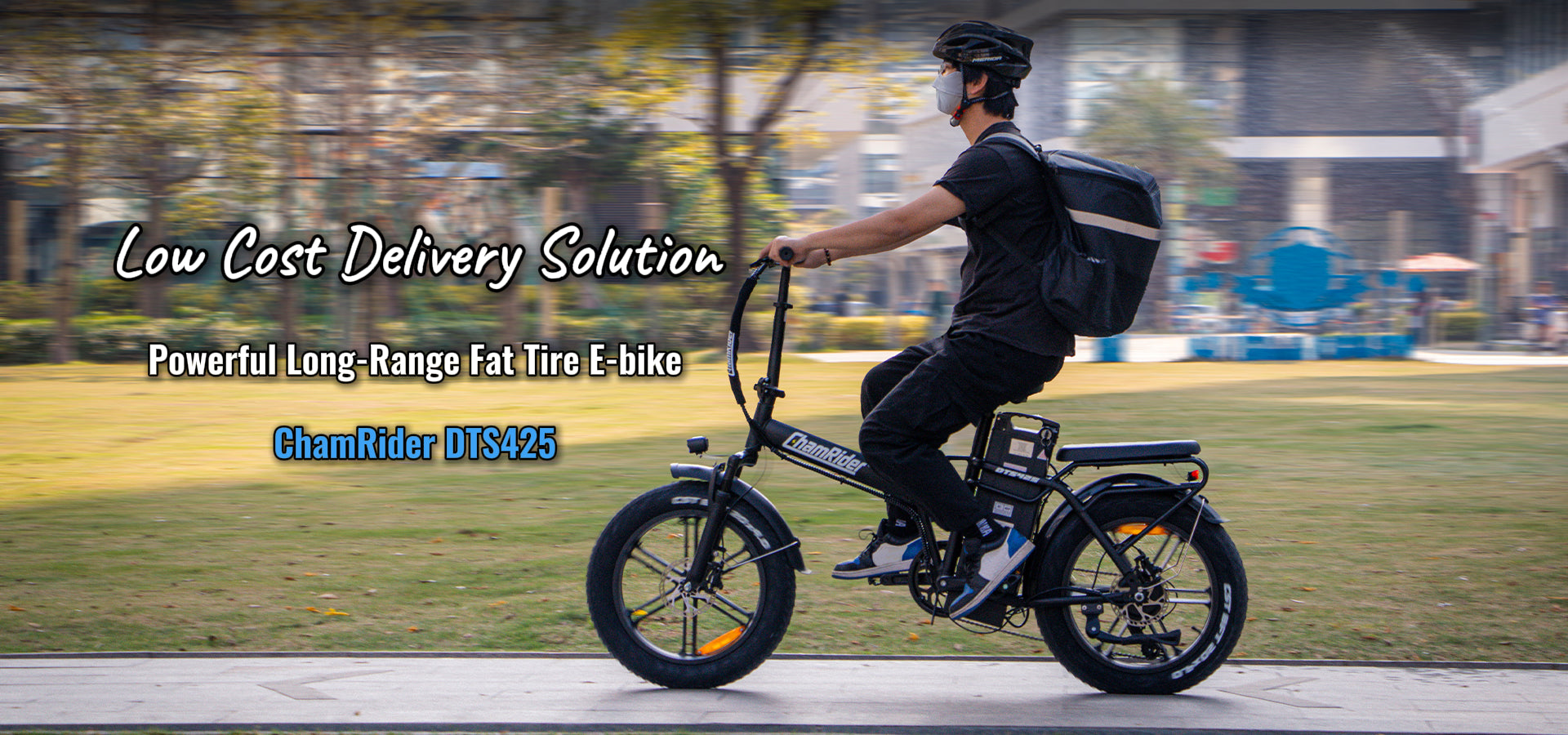ChamRider E-bike - larger capacity ebikes for global