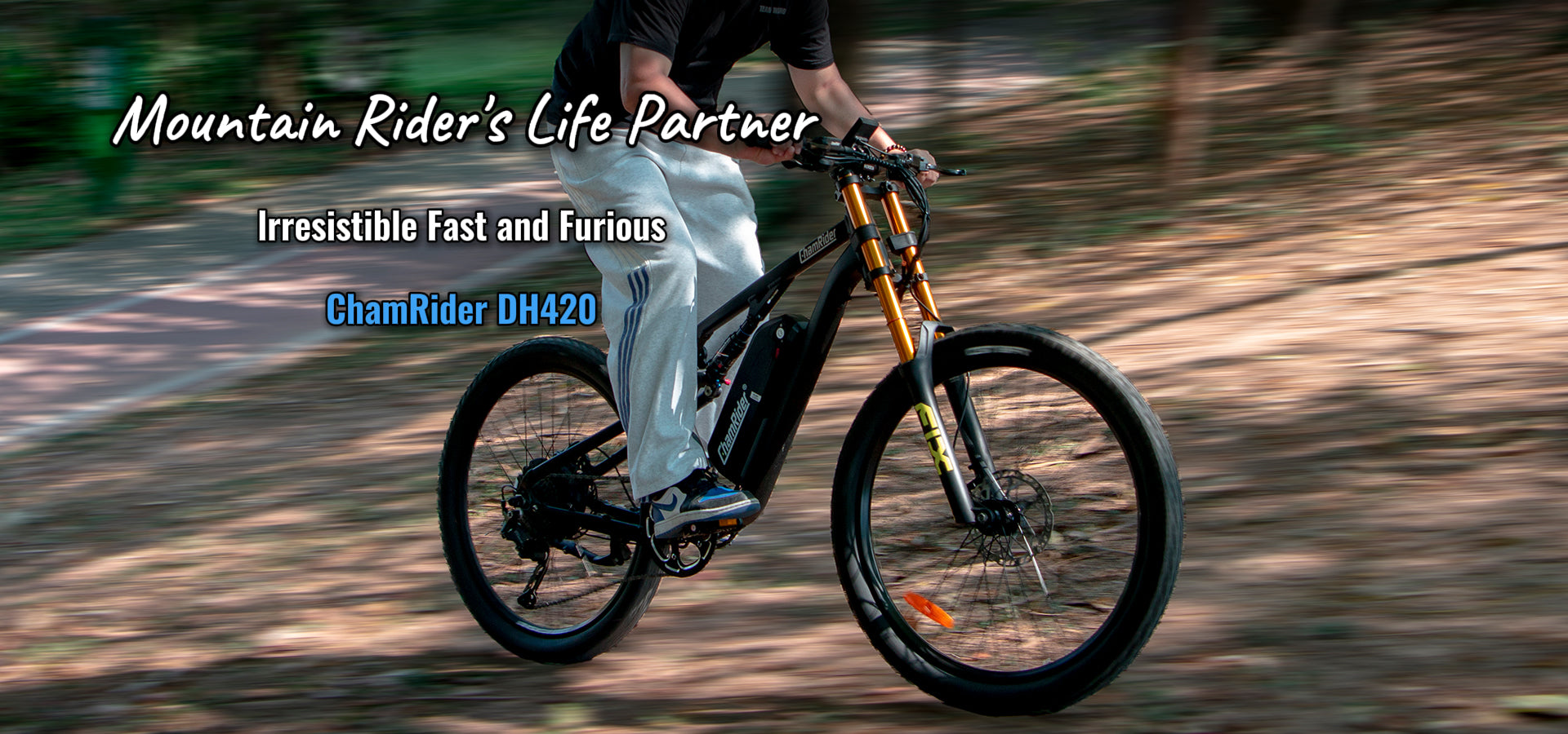 電動自転車ハブモーター　ChamRider 電動自転車ハブモーター ChamRider