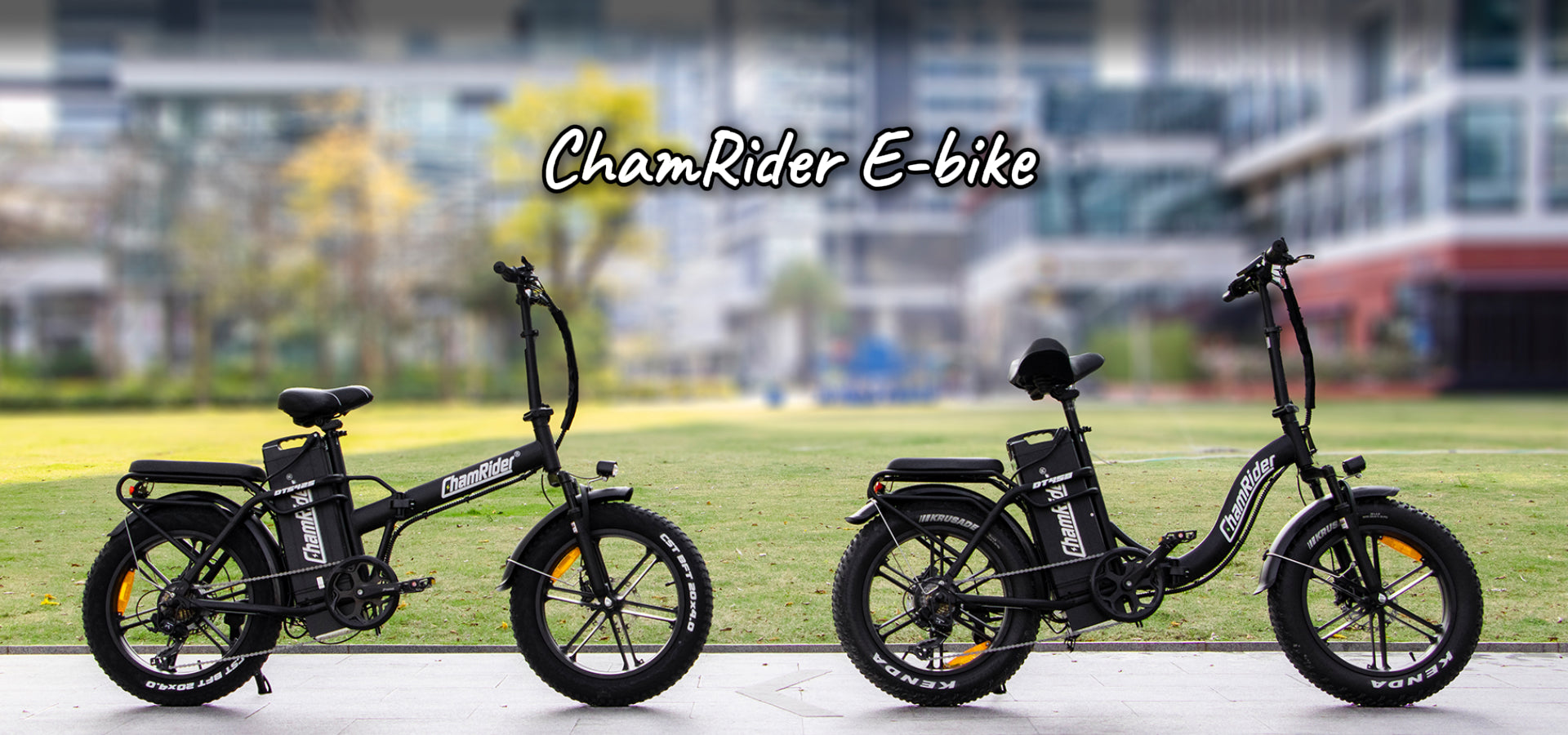 電動自転車ハブモーター　ChamRider Amazon.co.jp: 電動自転車ハブモーター、36V 250W防水フロント