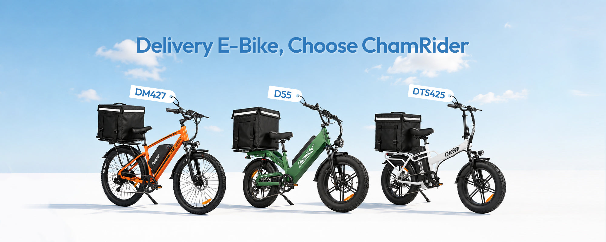 ChamRider E-bike - larger capacity ebikes for global delivery