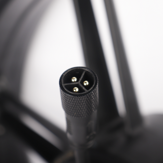 ChamRider e-bike motor