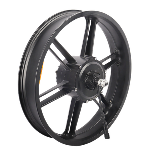 ChamRider e-bike motor