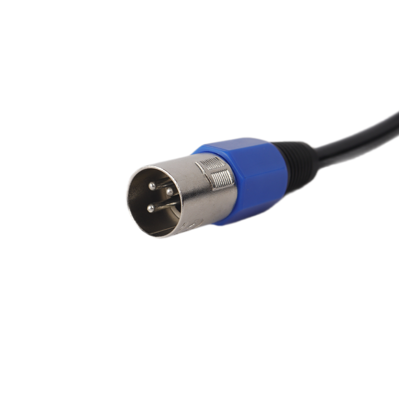 ChamRider 8A CE Fast Charger for Food Delivery E-Bikes - Rapid Charge, True Amperage, Portable & Weatherproof - EU/UK Plug, EN 60335-2-29 Compliant