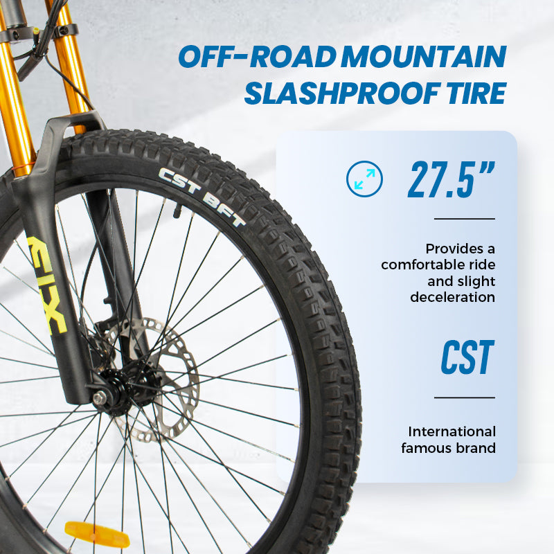ChamRider DH420 pro 48V E-Bike 