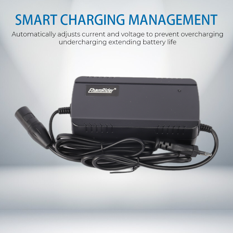 ChamRider-4A charger-1