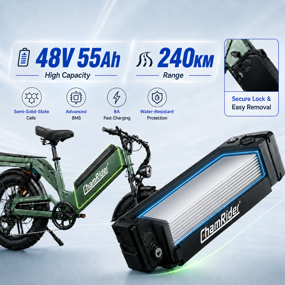ChamRider-D55-1