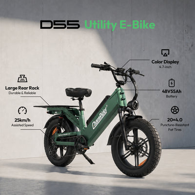 ChamRider-D55-sku-14