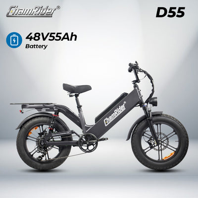 ChamRider-D55-sku-2