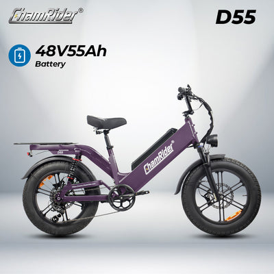 ChamRider-D55-sku-4