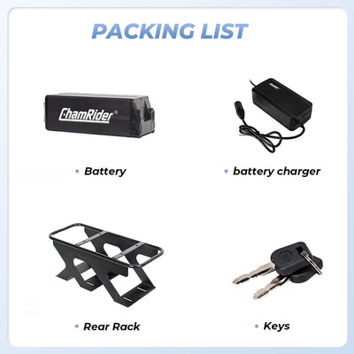 ChamRider-battery-delivery_b-5
