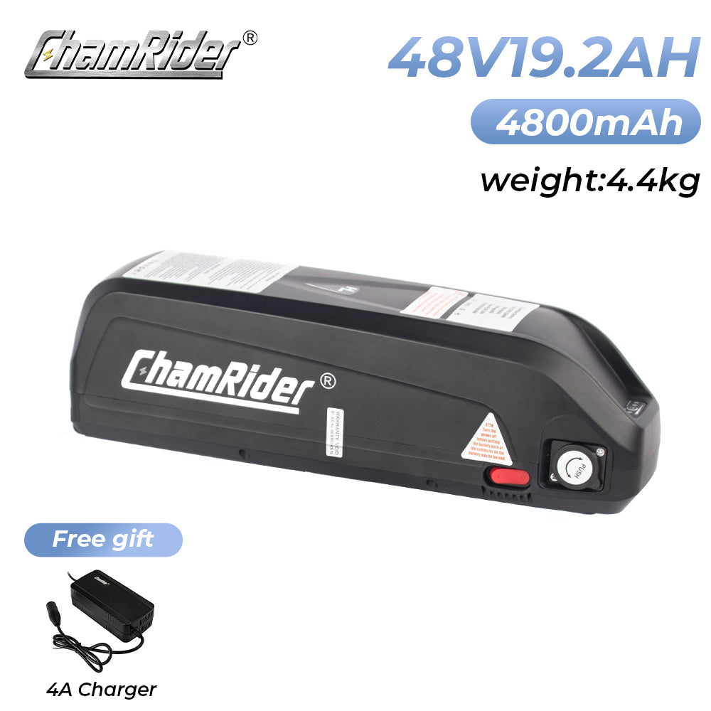 ChamRider-battery-hailong 2-1