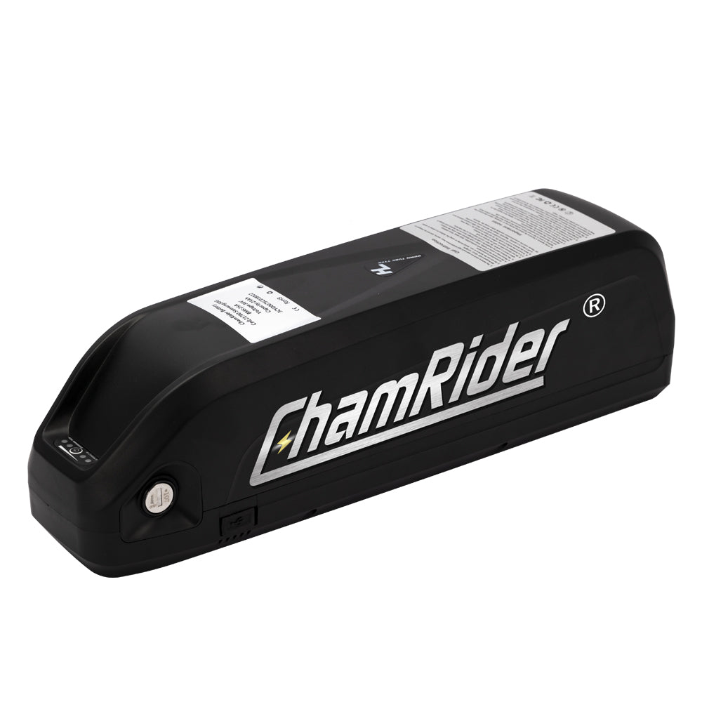 ChamRider-battery-hailong 2-4