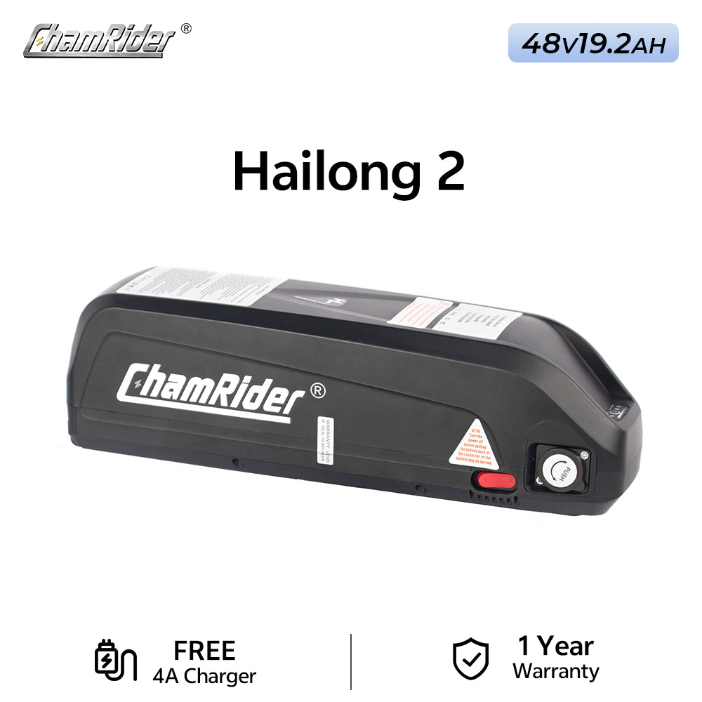 ChamRider-battery-hailong_2-6