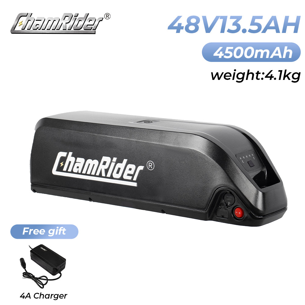 ChamRider-battery-hailong_a-1