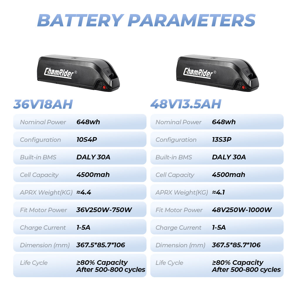 ChamRider-battery-hailong_a-5