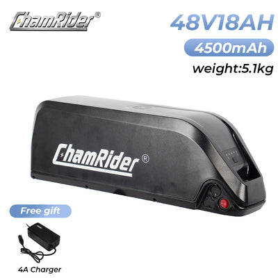 ChamRider-battery-hailong b-1