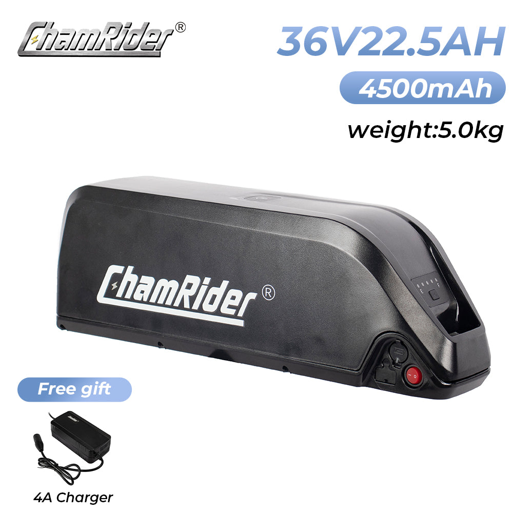 ChamRider-battery-hailong b-3
