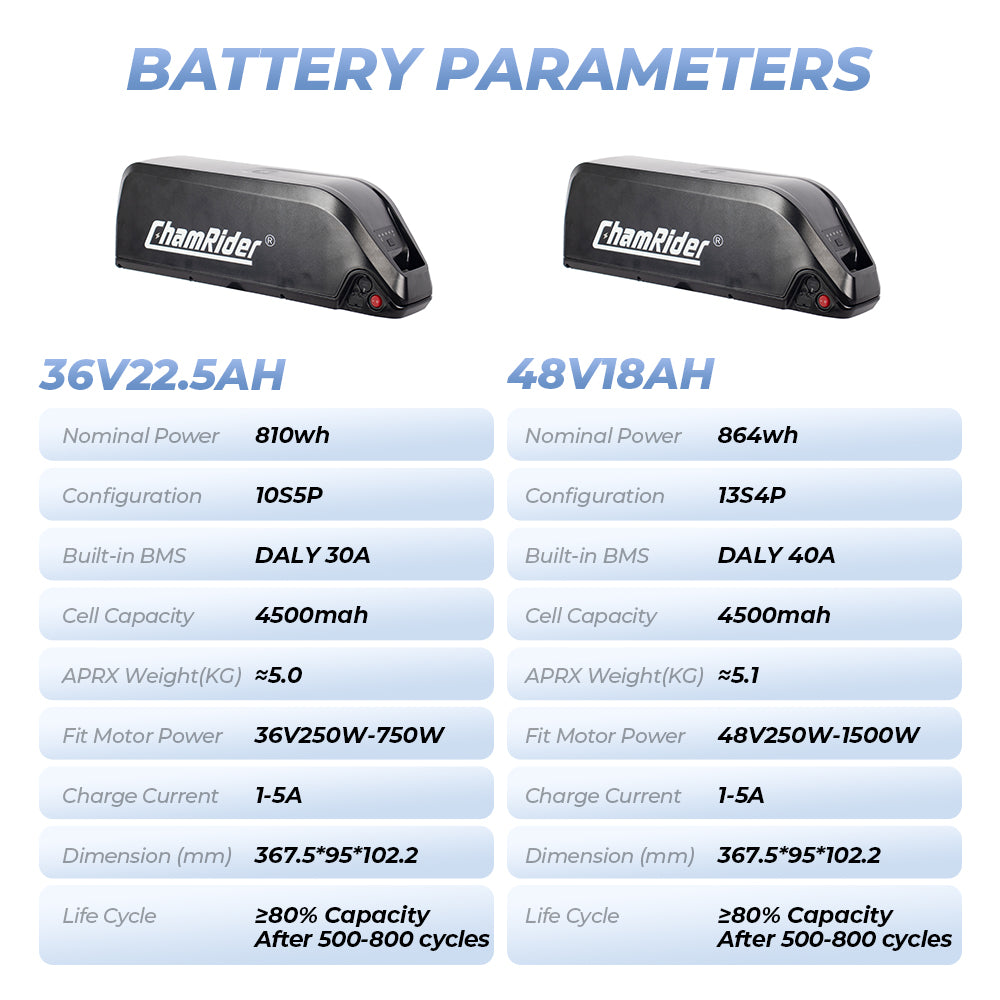 ChamRider-battery-hailong b-6