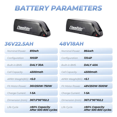 ChamRider-battery-hailong b-6