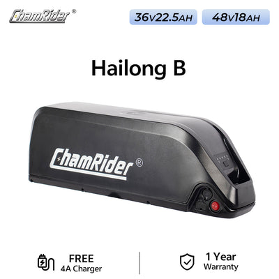 ChamRider-battery-hailong_b-7