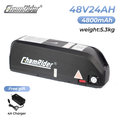 ChamRider-battery-hailong max-1