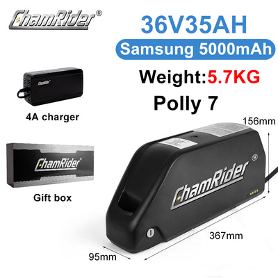 ChamRider-battery-polly_7-7