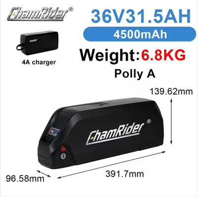ChamRider-battery-polly a-5