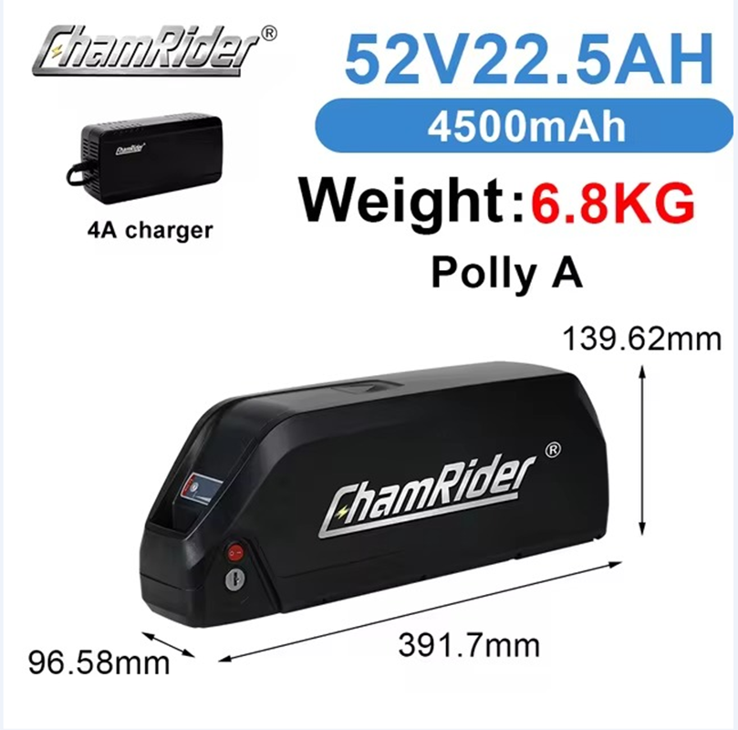 ChamRider-battery-polly a-6