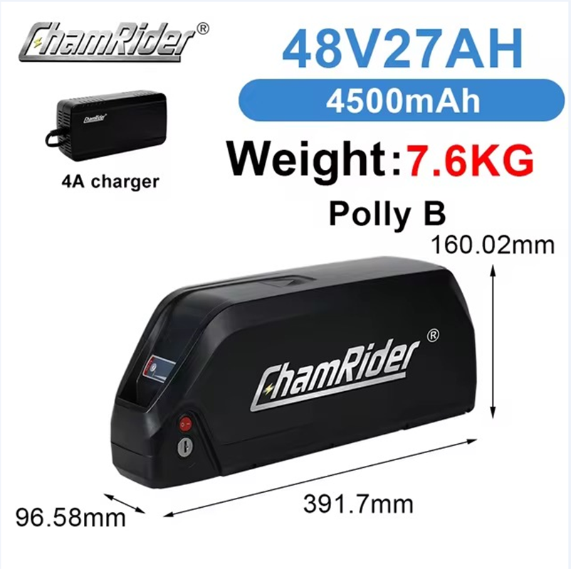 ChamRider-battery-polly b-1