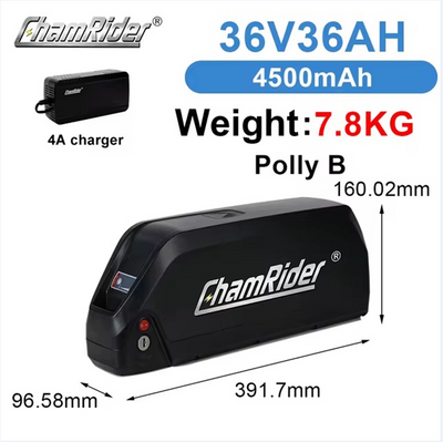 ChamRider-battery-polly b-5