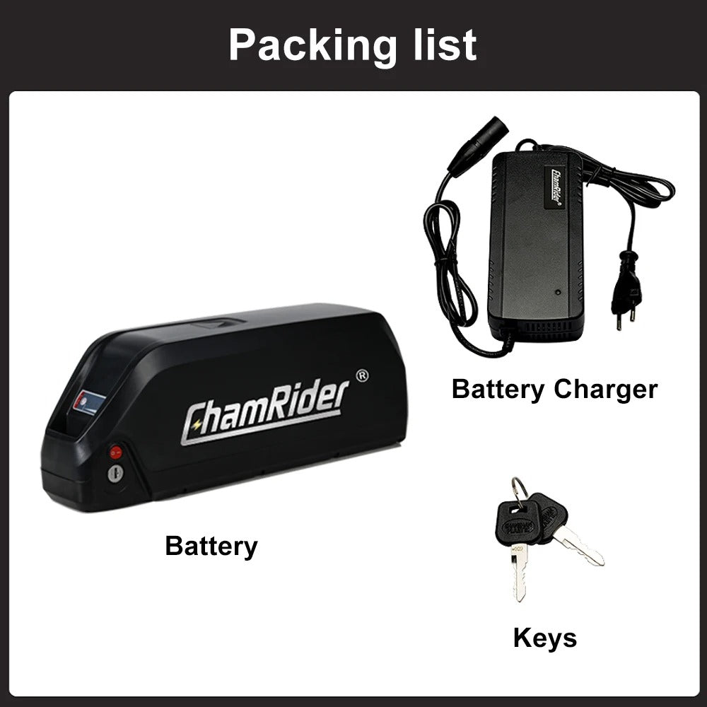 ChamRider-battery-polly b-8