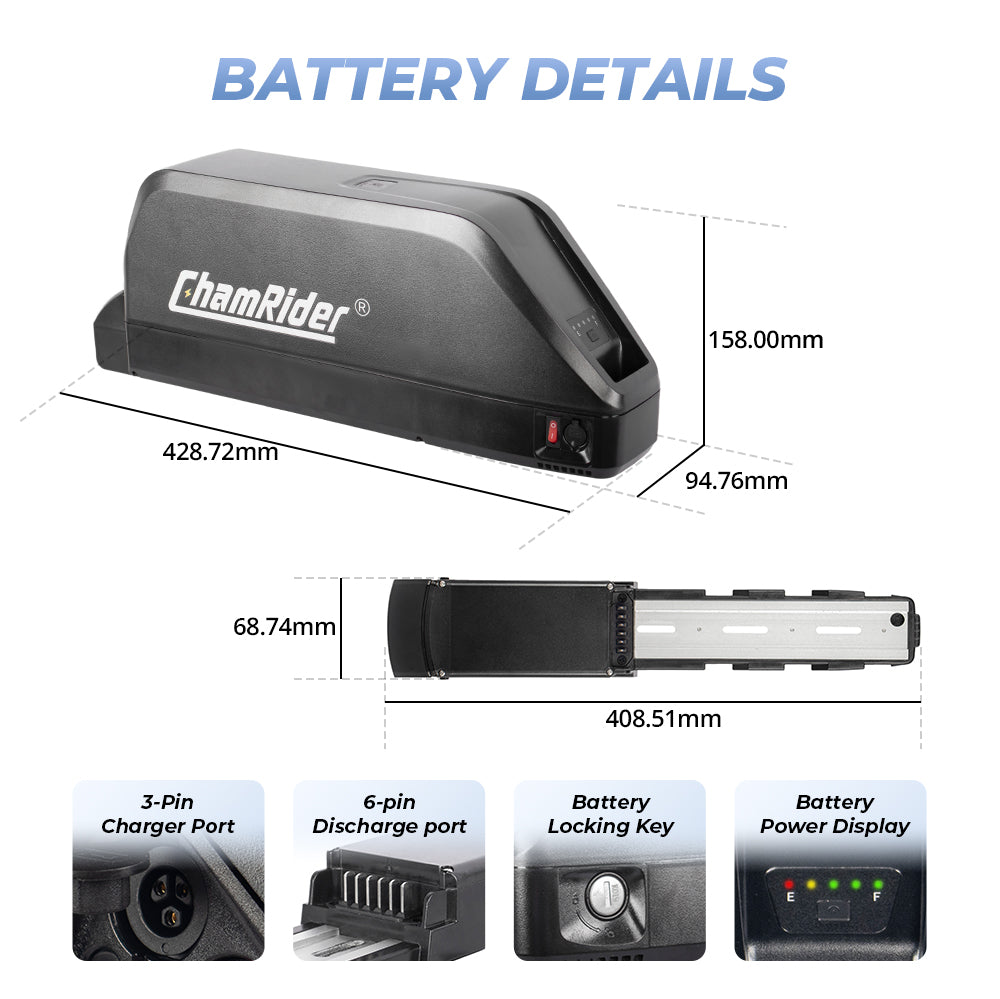 ChamRider-battery-polly c-2