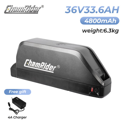 ChamRider-battery-polly c-3
