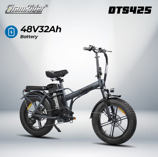 ChamRider DTS425 Ebike - 48V25AH/32AH Battery, 125KM Range & 250W/750W Power - Best - Value Choice for European Food Delivery Riders!