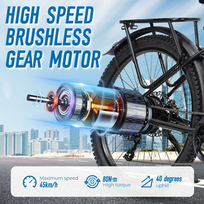 ChamRider DM427 Motor | 121HG High-Torque 80Nm | E-Bike Motor for European Delivery & Long Commute