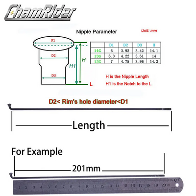 chamrider-_dm427_spokes-5
