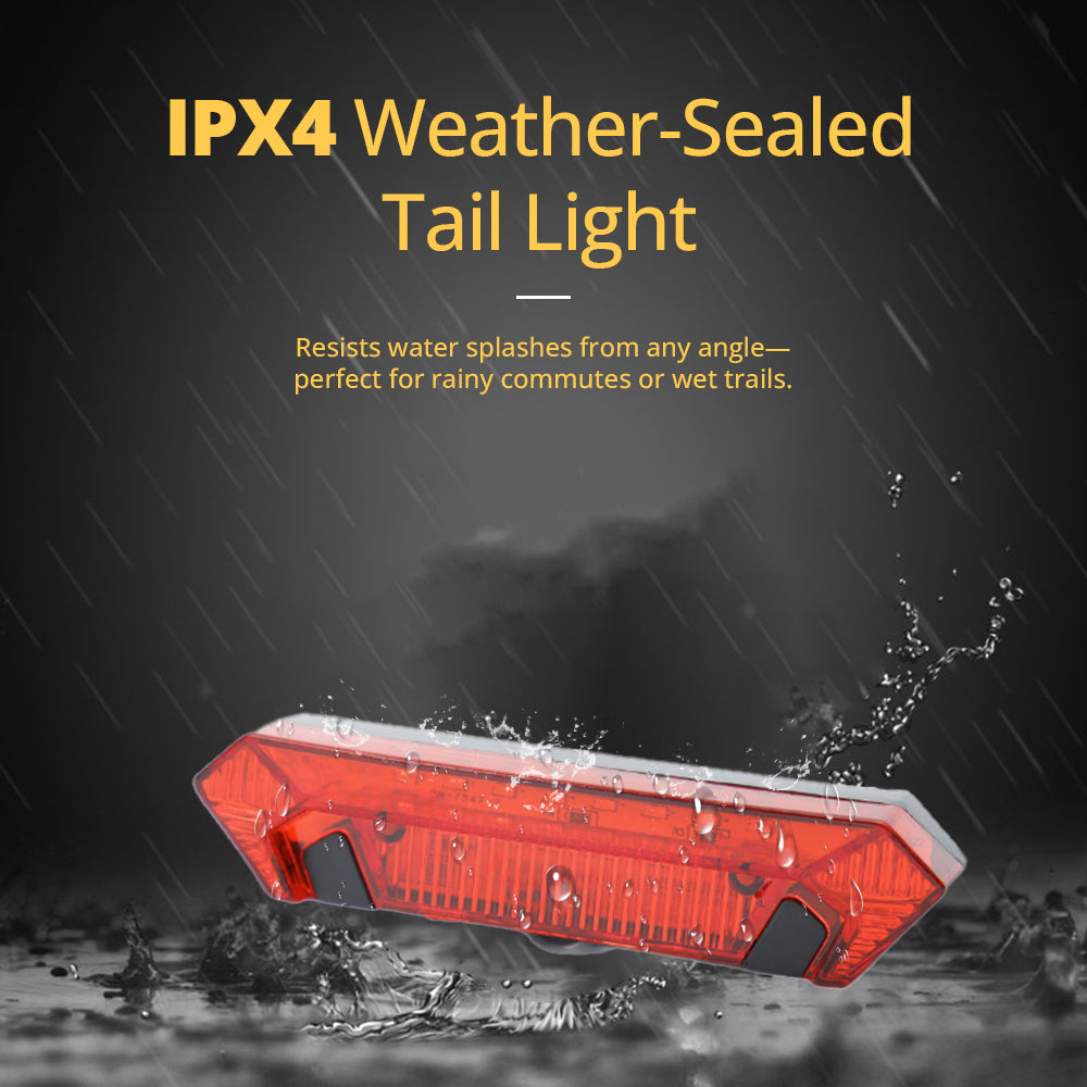 chamrider- rear light-5