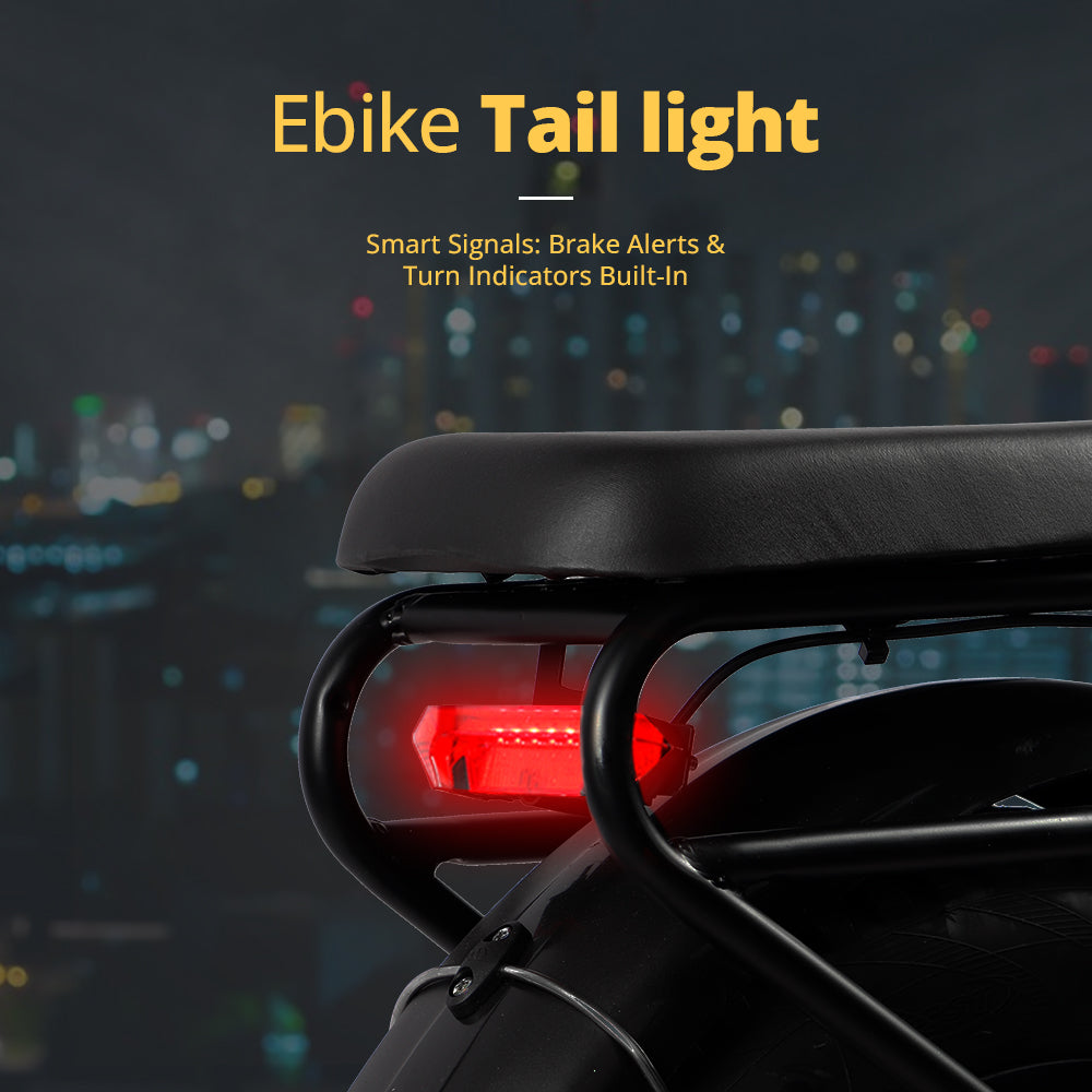 chamrider- rear light-6