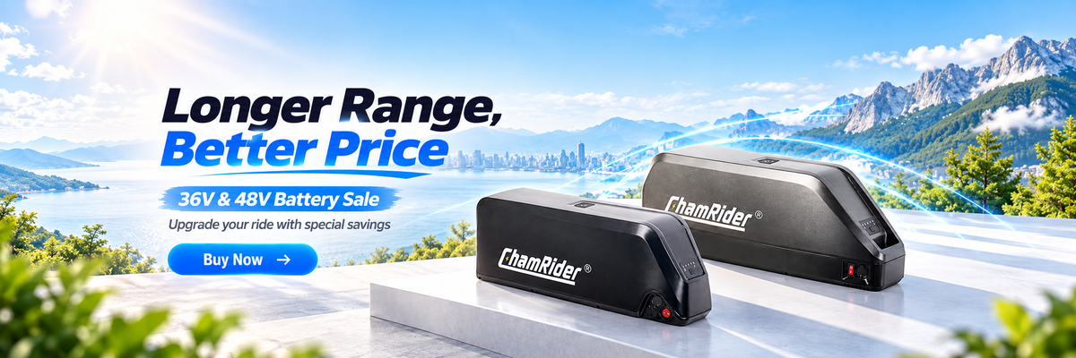 chamrider-battery-sale-1