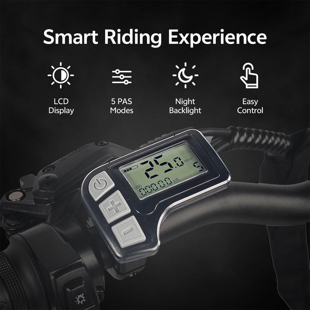 chamrider-d2 meter-8
