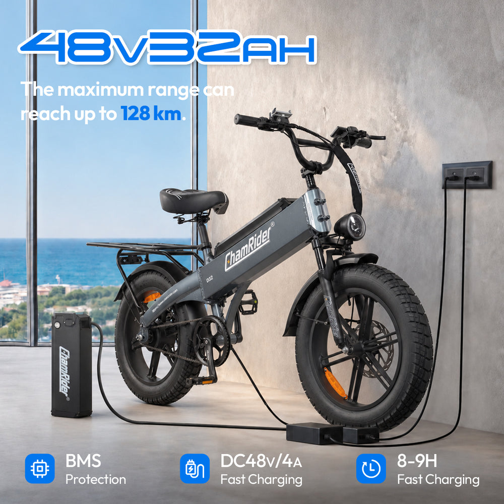 chamrider-d40-battery-2