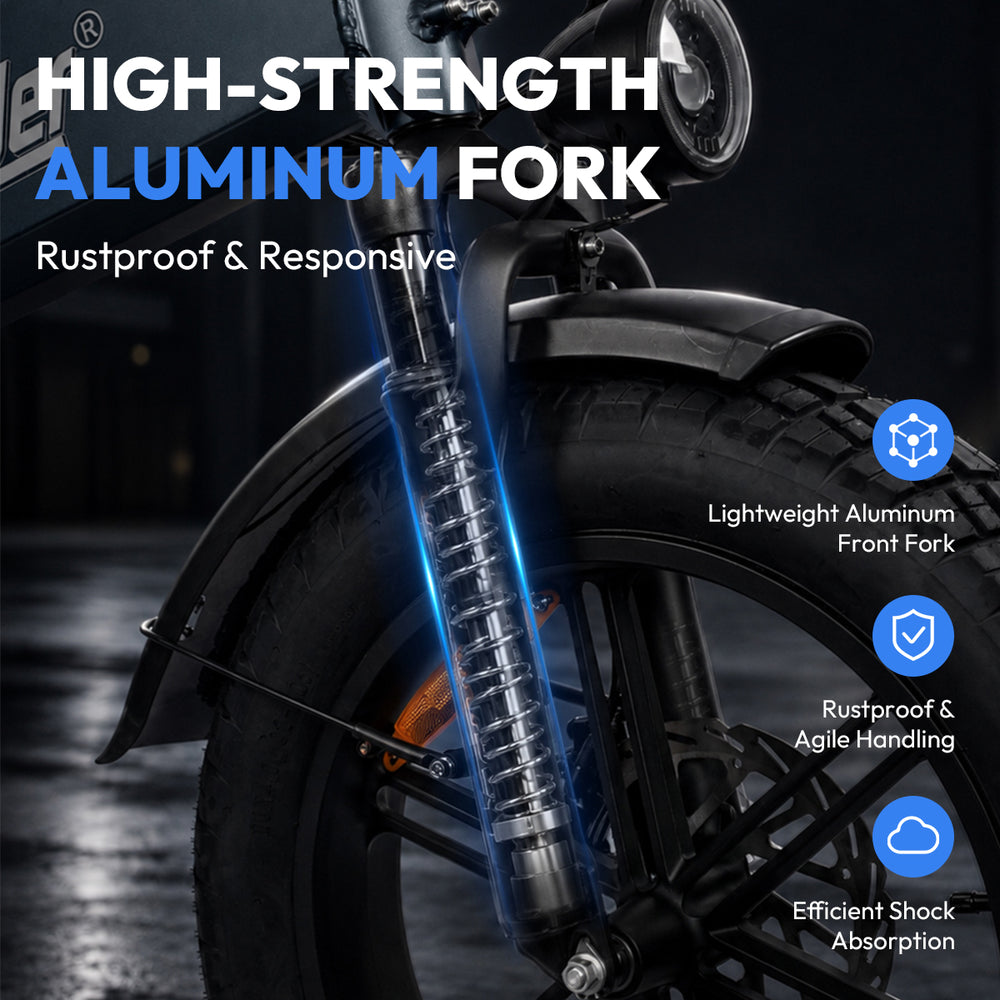 chamrider-d40-front fork