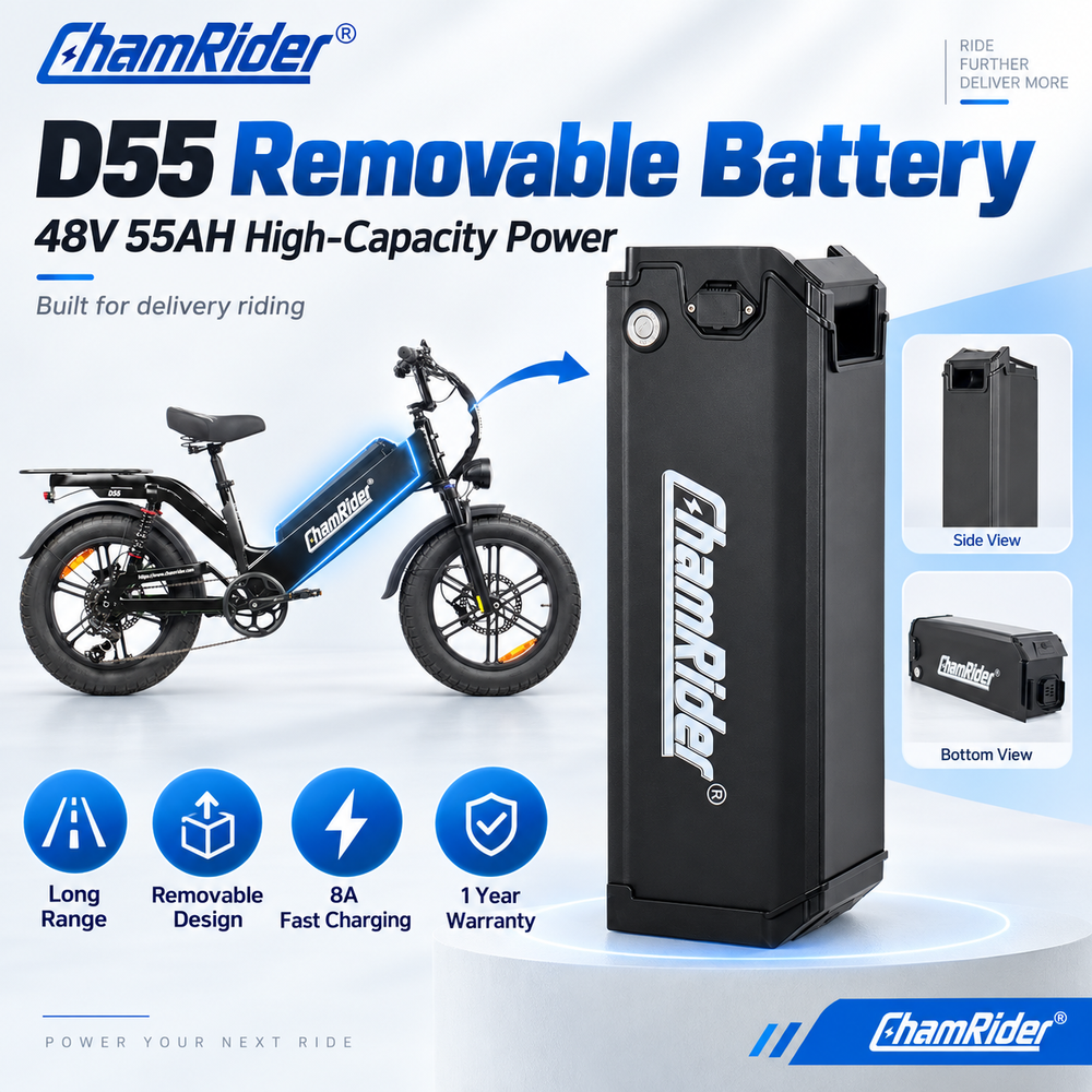 chamrider-d55-battery-sale-1
