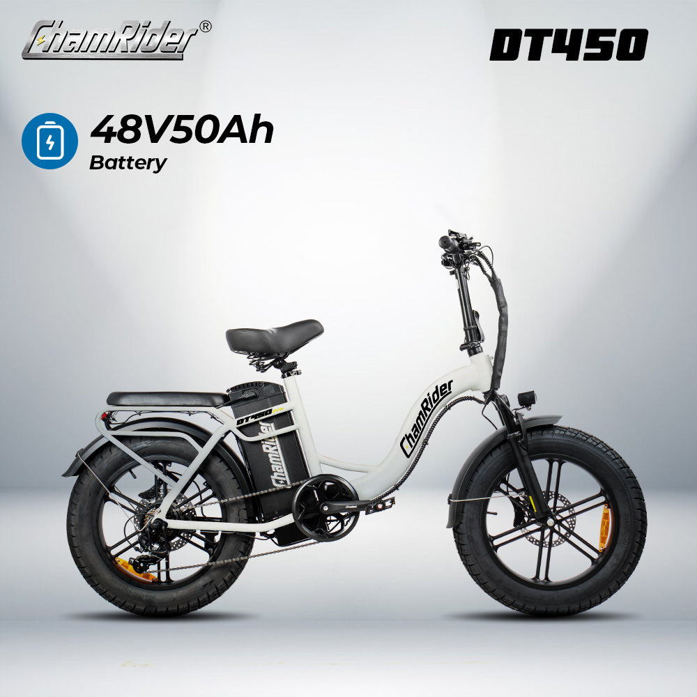 ChamRider DT450