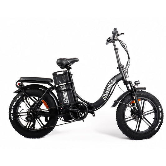 ChamRider DT450